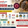 भारत में हंटावायरस जागरूकता पोस्टर जिसमें चूहों से फैलने वाले वायरस के लक्षण, खतरे, बचाव के तरीके और सावधानियों की जानकारी दी गई है | Safalsoch.com health awareness featured image